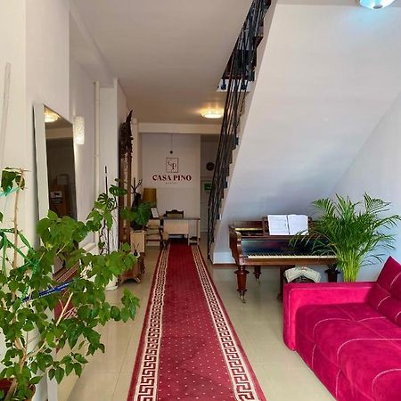 Casa Pino Hotel Brasov Bagian luar foto